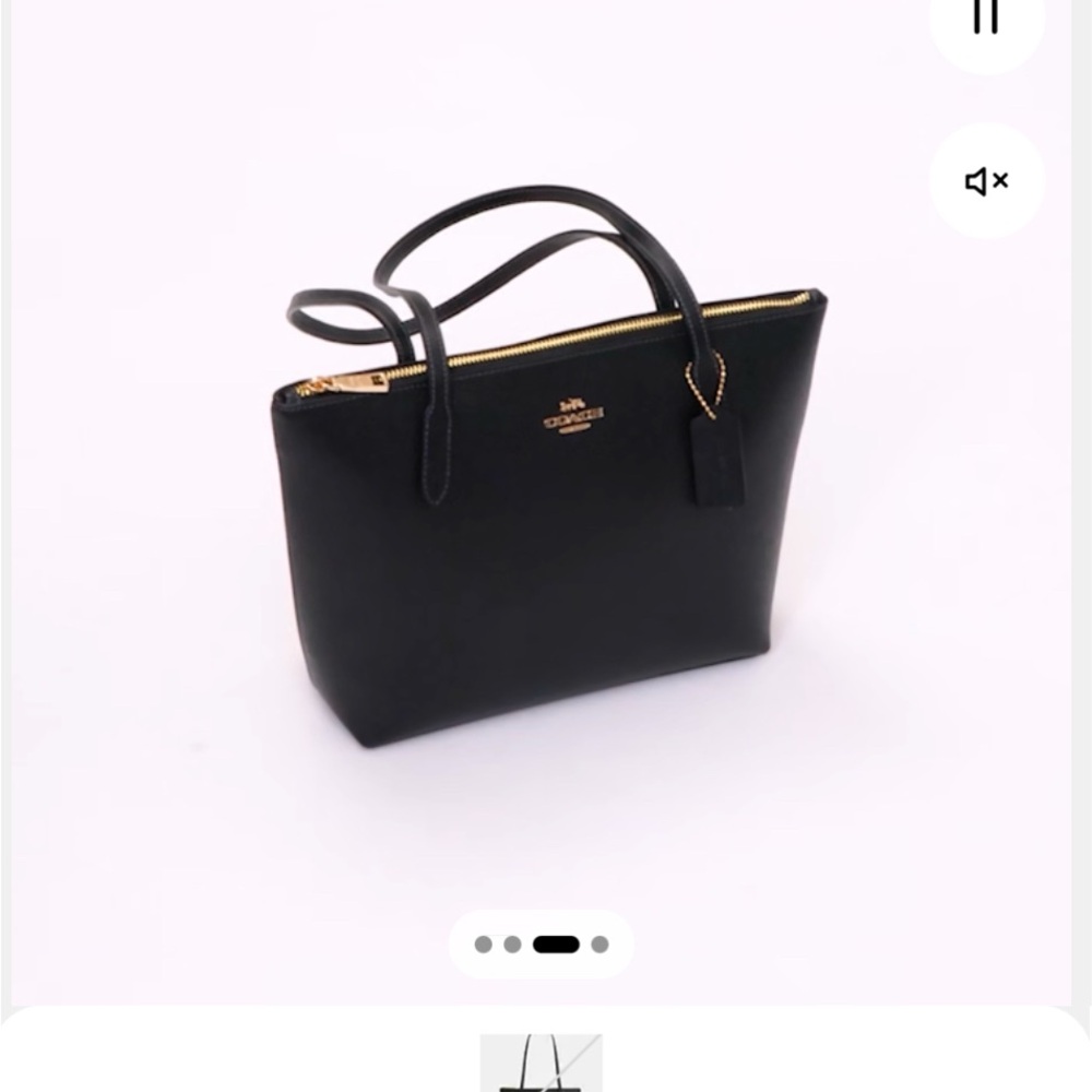 Fiona Tote Bag coach